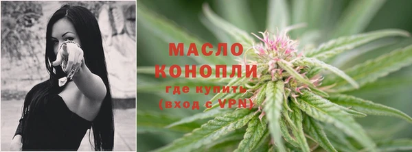 крисы Аркадак