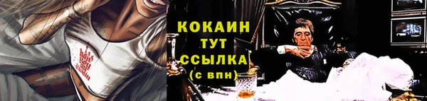 крисы Аркадак