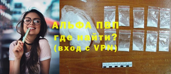 крисы Аркадак