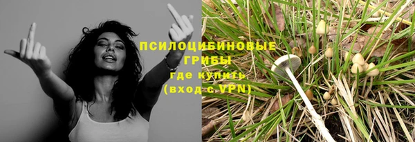 крисы Аркадак
