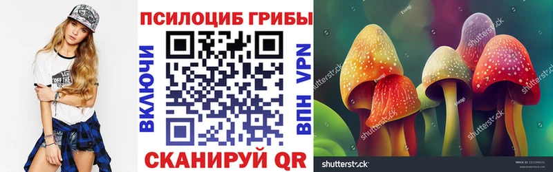 Псилоцибиновые грибы ЛСД  Ясногорск 